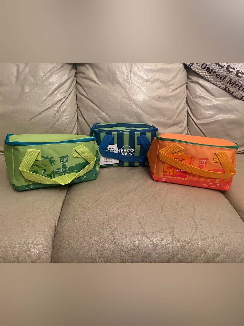 Trader Joe's Striped mini insulated totes - Blue & Green